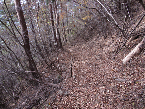 20181126hike (303)